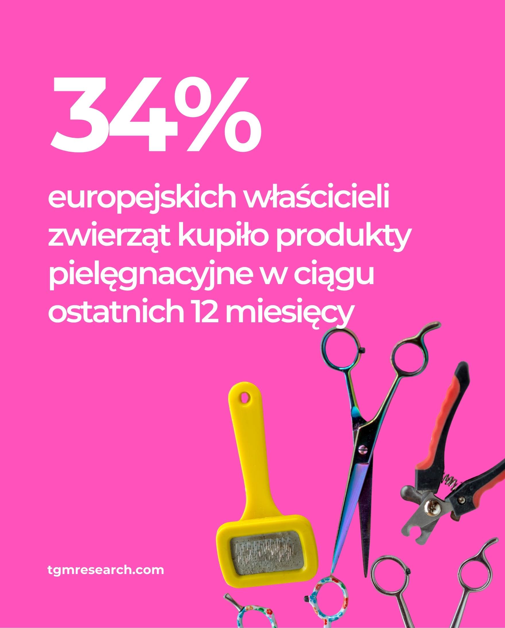 Równowaga między profesjonalnym groomingiem a pielęgnacją domową  