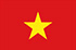 Panel badania rynku online w Wietnamie
