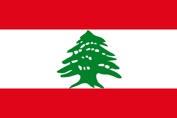 Panel badania rynku w Libanie
