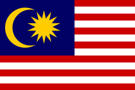 Panel badania rynku w Malezji