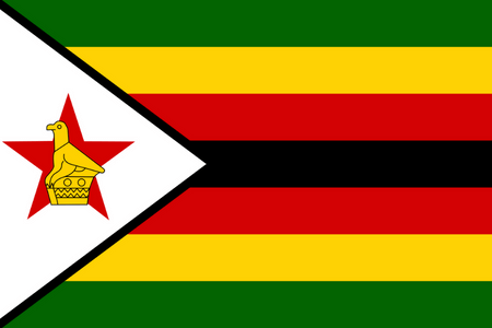 Panel badawczy online w Zimbabwe