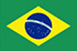 Panel badania rynku online w Brazylii