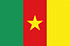 Panel badania rynku online w Kamerunie