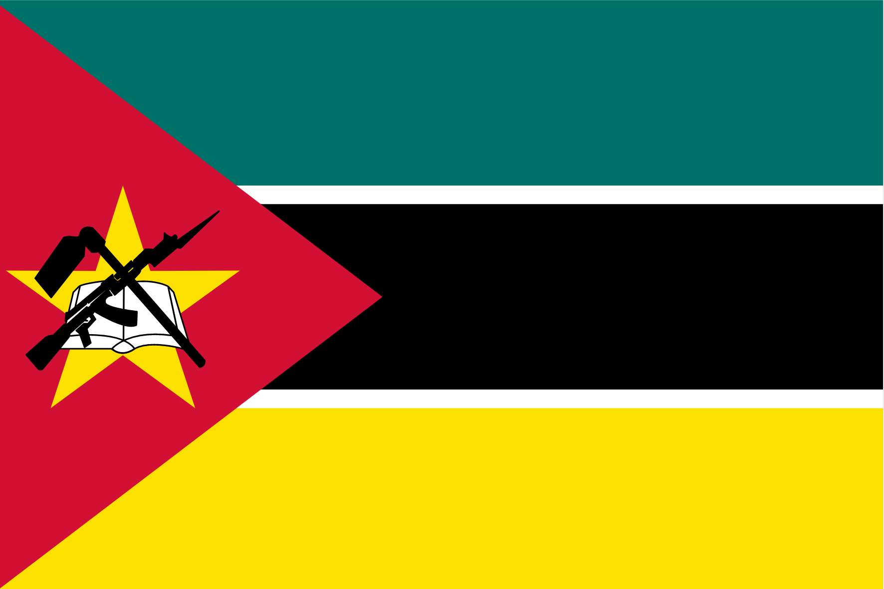 Panel badania rynku w Mozambiku