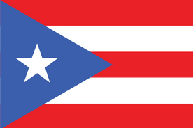 Panel badawczy online w Portoryko