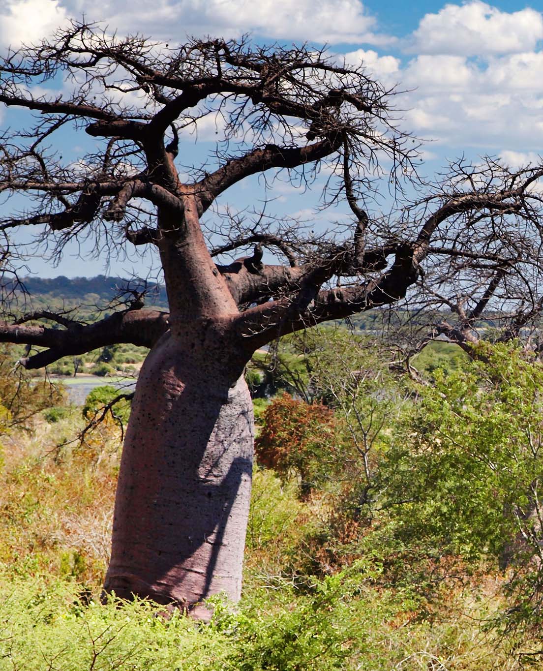 Botswana w skrócie