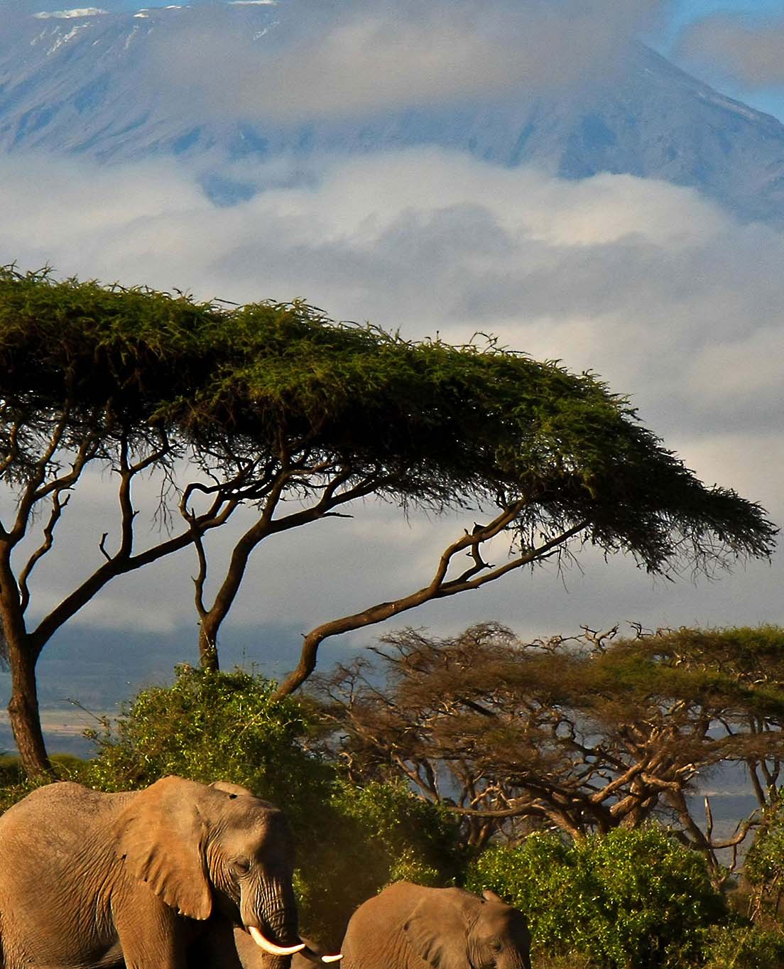 Kenia w skrócie