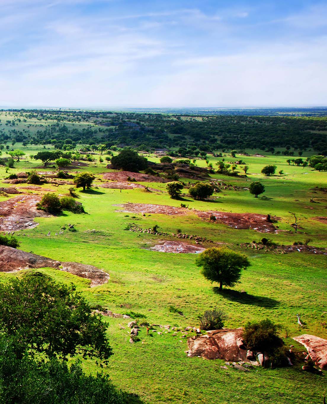 Tanzania w skrócie