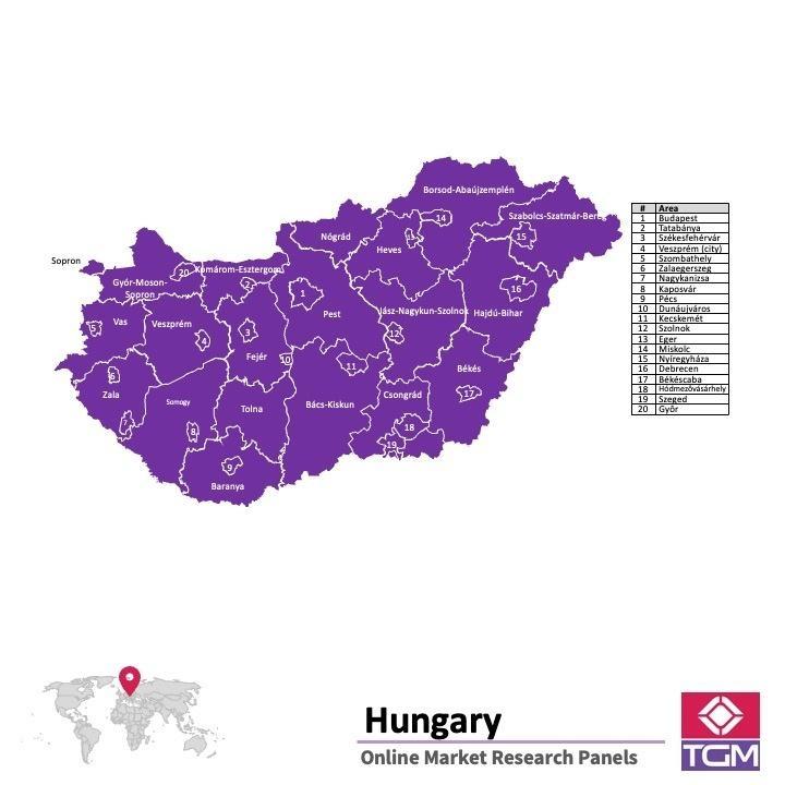 Panel badawczy online w Węgrzech | Badania rynku w Węgrzech