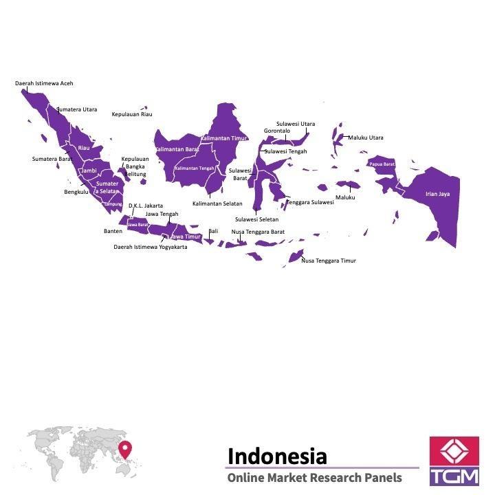 Panel badawczy online w Indonezji | Badania rynku w Indonezji