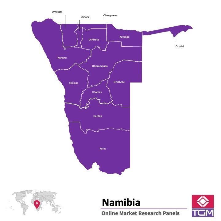 Panel badawczy online w Namibii | Badania rynku w Namibii