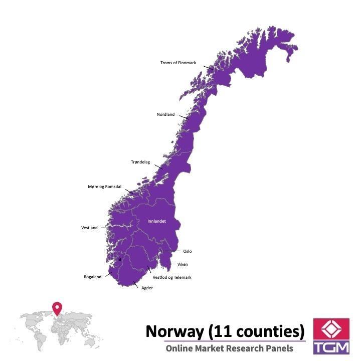 Panel badawczy online w Norwegii | Badania rynku w Norwegii