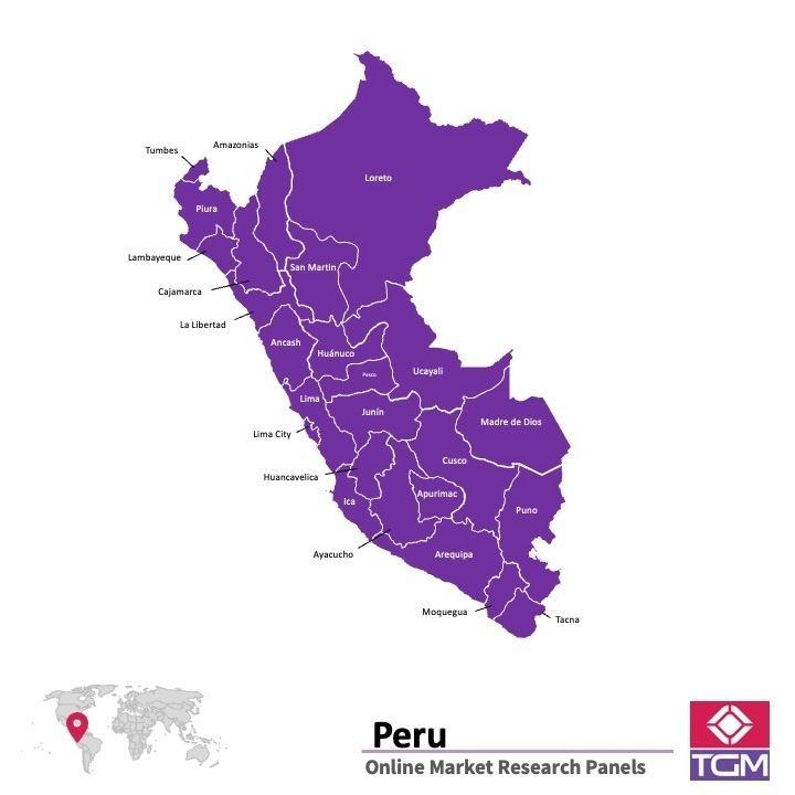 Panel badawczy online w Peru | Badania rynku w Peru