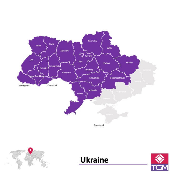 Panel badawczy online w Ukrainie | Badania rynku w Ukrainie