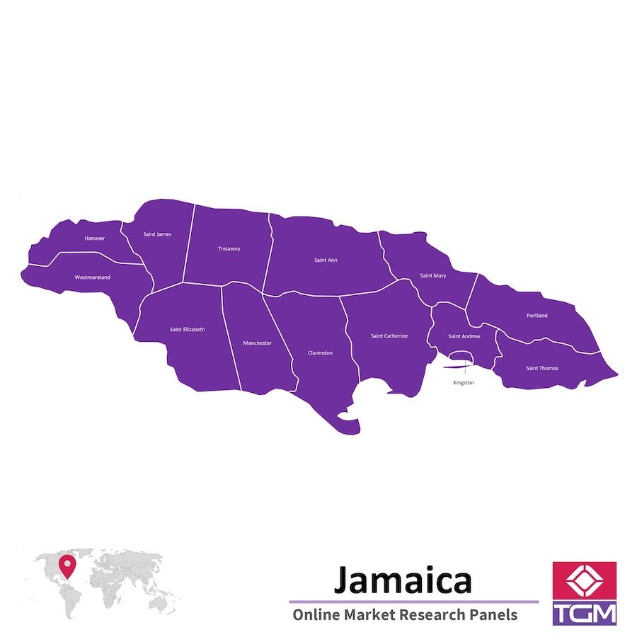 Panel badawczy online na Jamajce |  Badania rynku na Jamajce