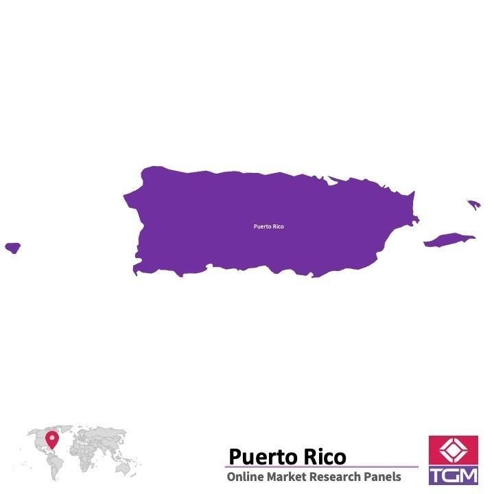 Panel badawczy online w Portoryko |  Badania rynku w Portoryko