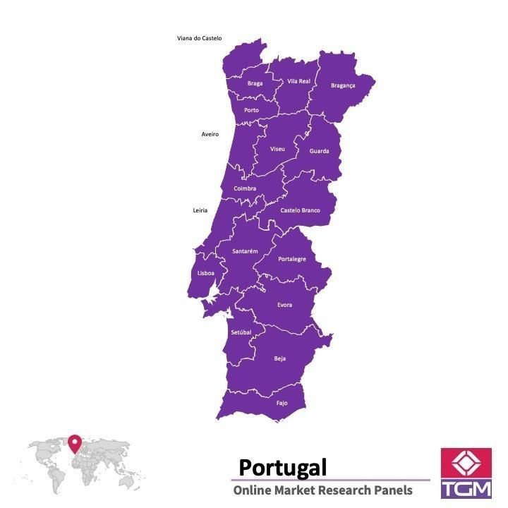 Panel badawczy online w Portugalii |  Badania rynku w Portugalii