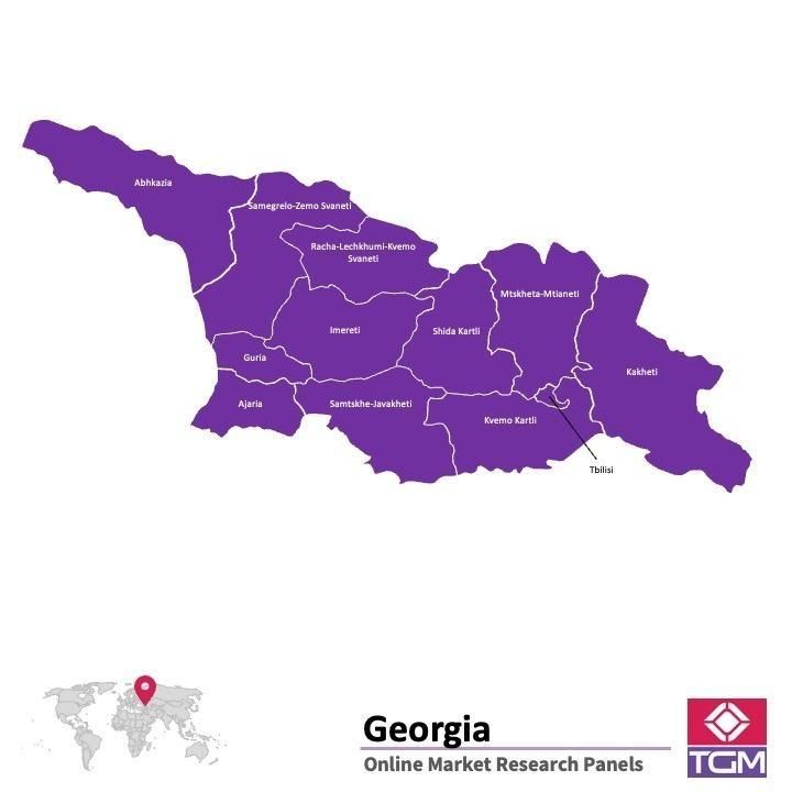 Panel badawczy online w Gruzji |  Badania rynku w Gruzji