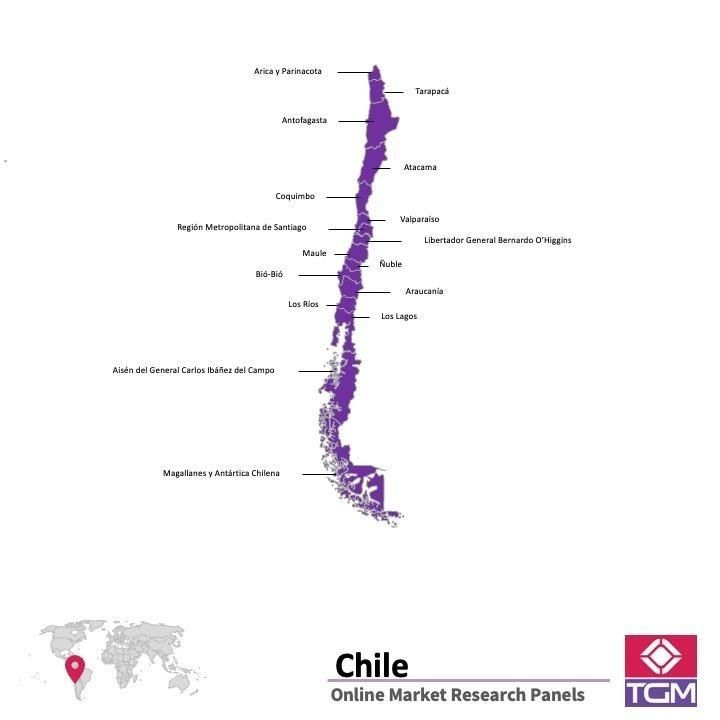 Panel badawczy online w Chile |  Badania rynku w Chile