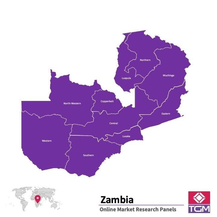 Panel badawczy online w Zambii |  Badania rynku w Zambii