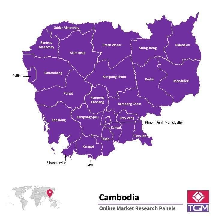 Panel badawczy online w Kambodży |  Badania rynku w Kambodży