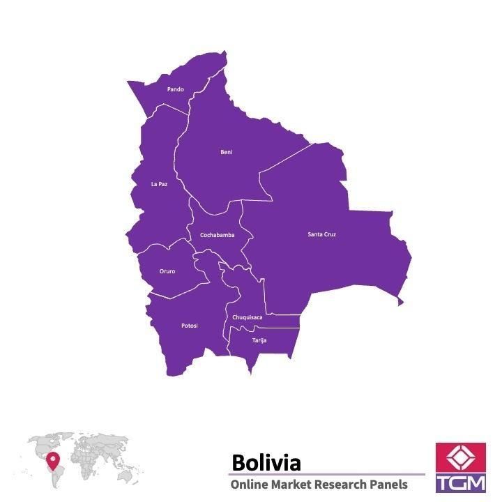 Panel badawczy online w Boliwii |  Badania rynku w Boliwii