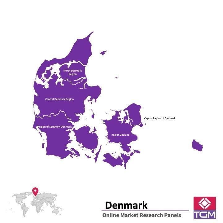 Panel badawczy online w Danii |  Badania rynku w Danii