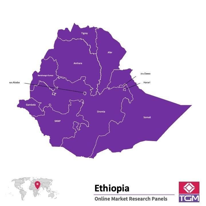Panel badawczy online w Etiopii |  Badania rynku w Etiopii