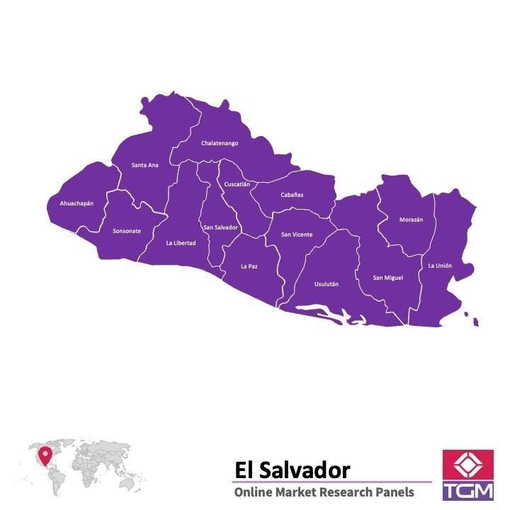 Panel badawczy online w Salwadorze |  Badania rynku w Salwadorze