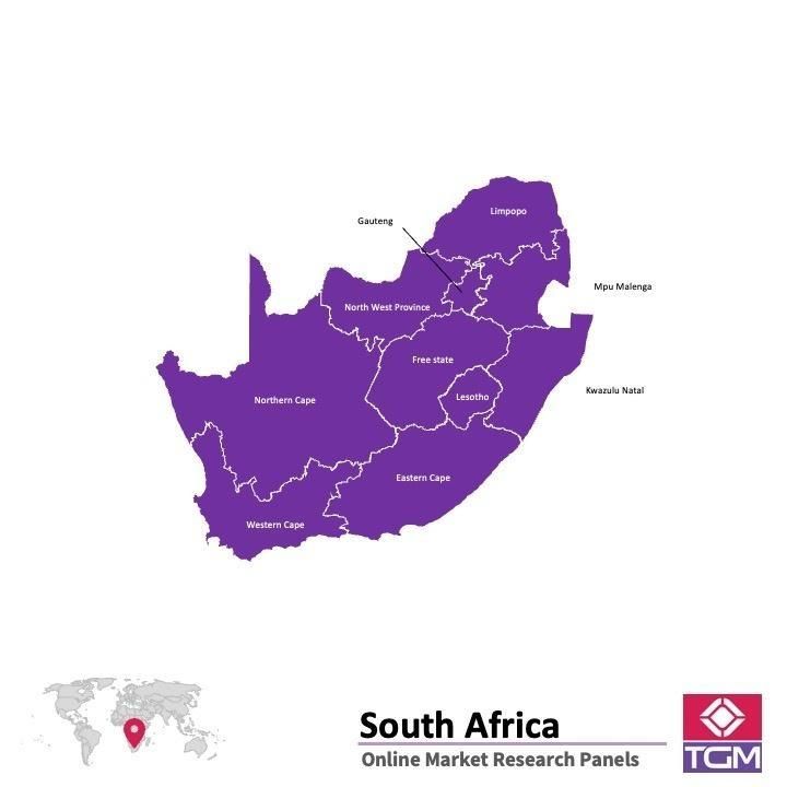 Panel badawczy online w Afryce Południowej |  Badania rynku w Afryce Południowej