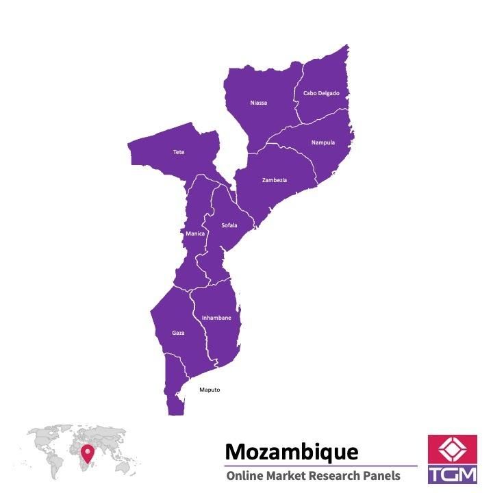 Panel badawczy online w Mozambiku |  Badania rynku w Mozambiku