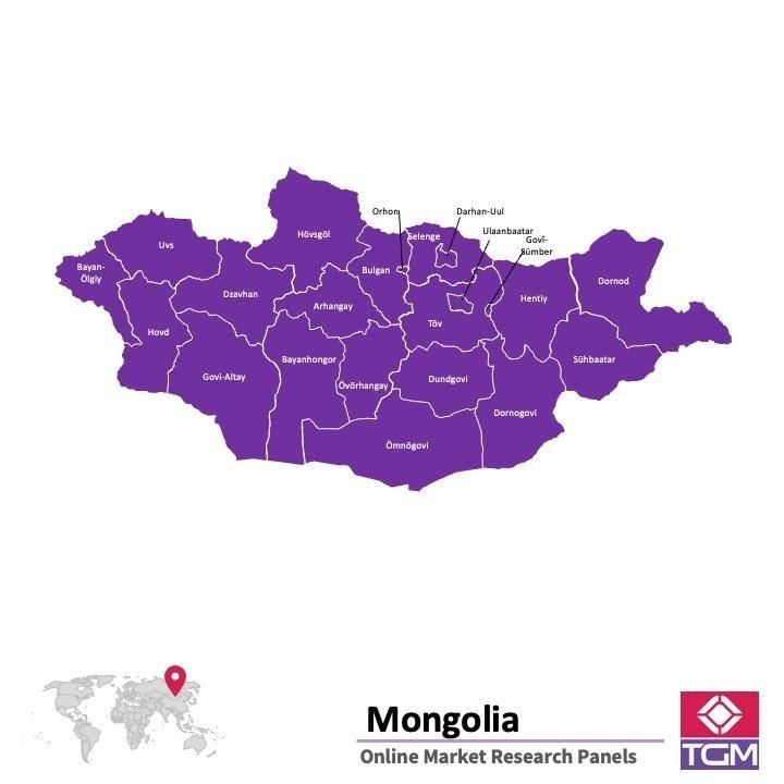 Panel badawczy online w Mongolii |  Badania rynku w Mongolii