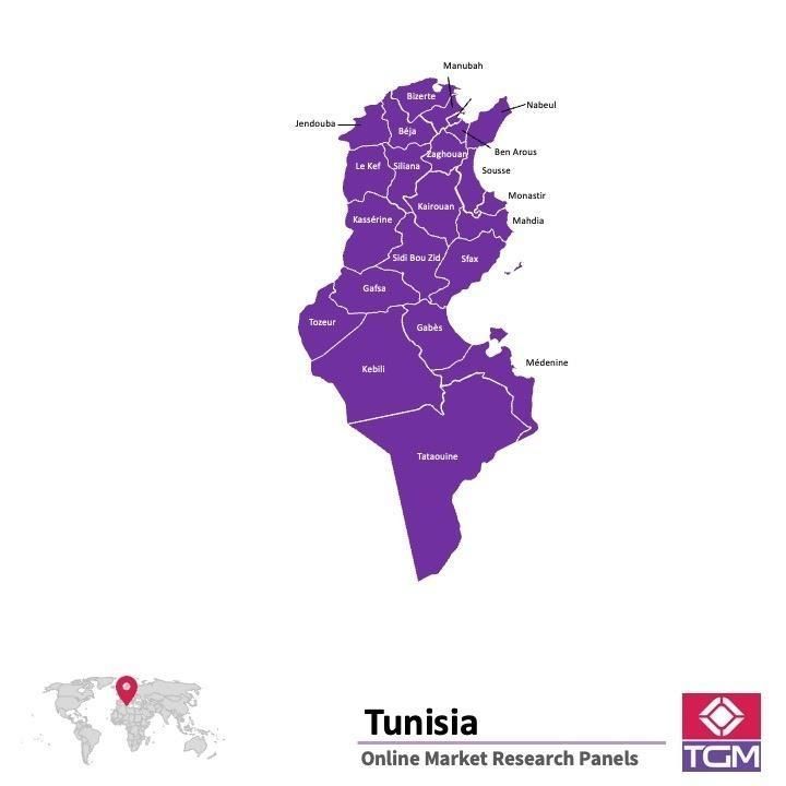 Panel badawczy online w Tunezji |  Badania rynku w Tunezji