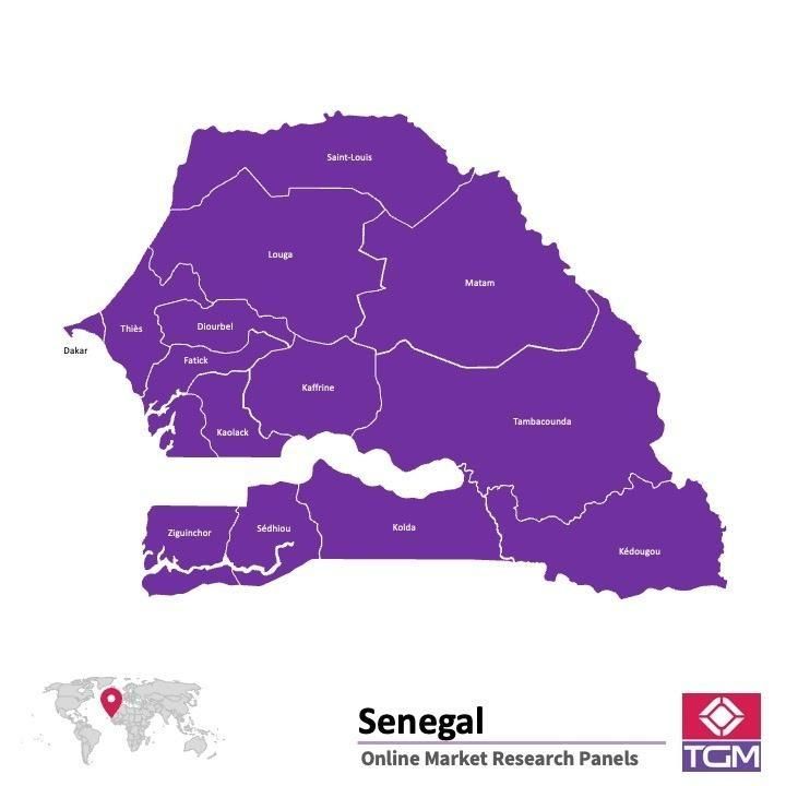 Panel badawczy online w Senegalu |  Badania rynku w Senegalu