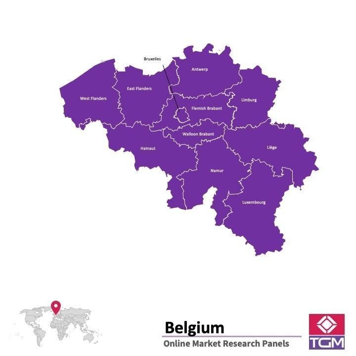 Panel badawczy online w Belgii |  Badania rynku w Belgii