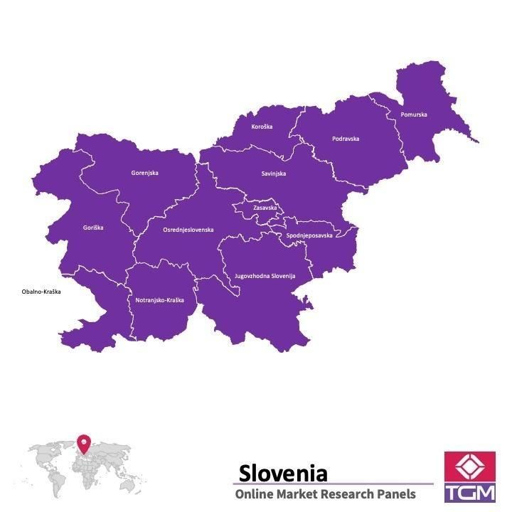 Panel badawczy online w Słowenii |  Badania rynku w Słowenii