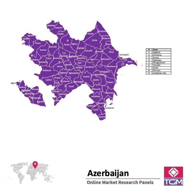 Panel badawczy online w Azerbejdżanie |  Badania rynku w Azerbejdżanie