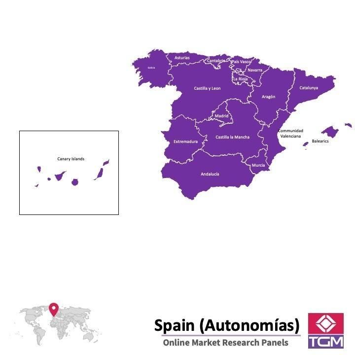 Panel badawczy online w Hiszpanii |  Badania rynku w Hiszpanii