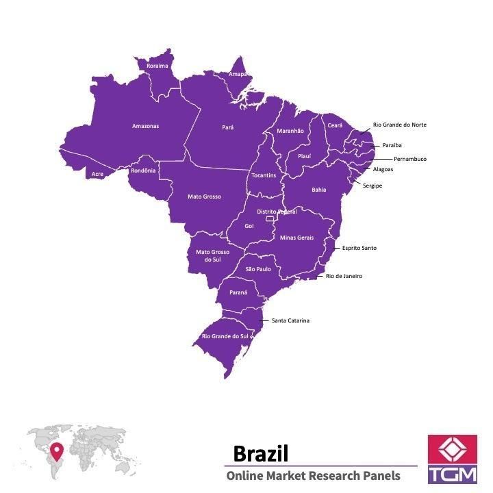 Panel badawczy online w Brazylii |  Badania rynku w Brazylii