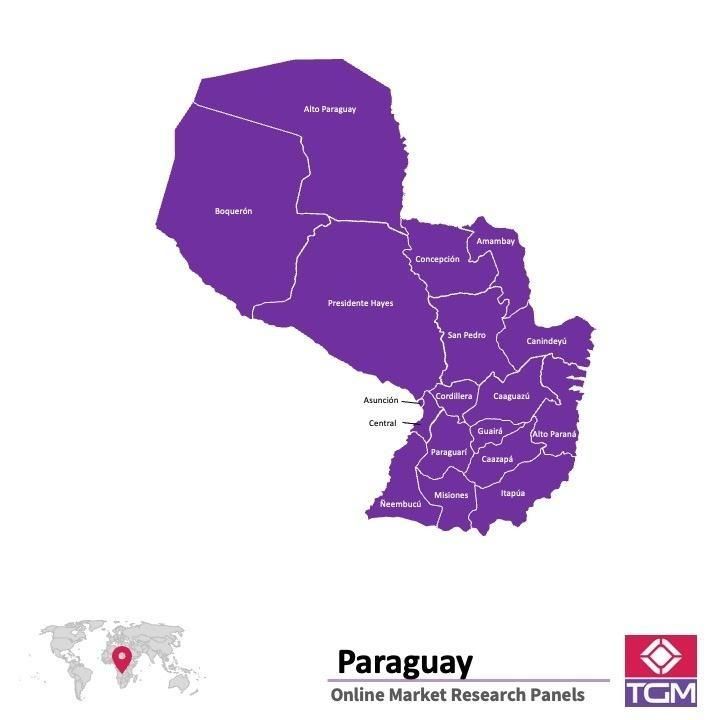 Panel badawczy online w Paragwaju |  Badania rynku w Paragwaju