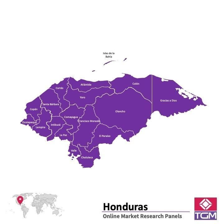 Panel badawczy online w Hondurasie |  Badania rynku w Hondurasie