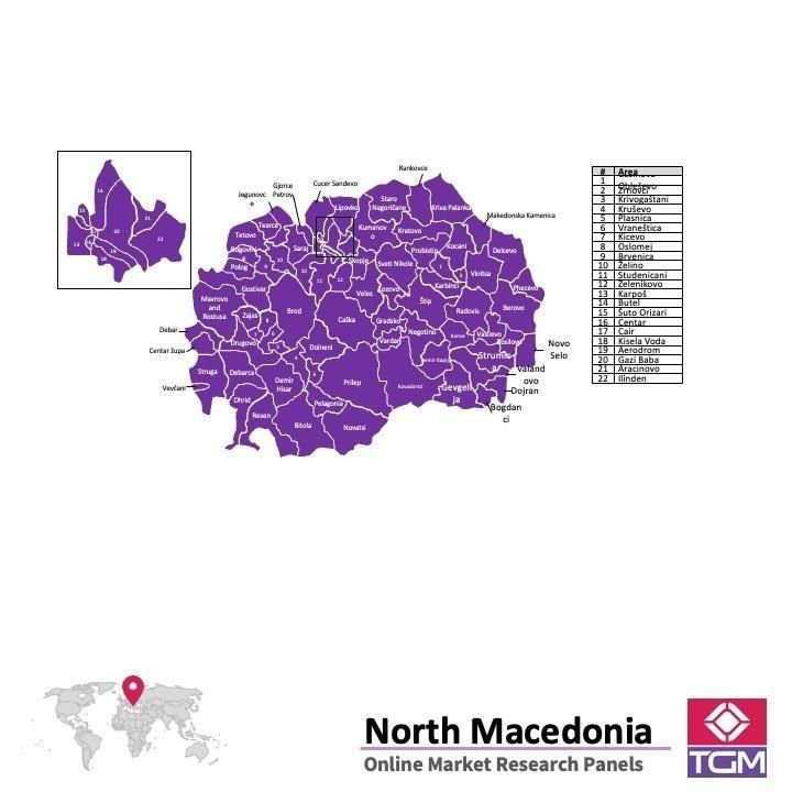 Panel badawczy online w Północnej Macedonii |  Badania rynku w Północnej Macedonii