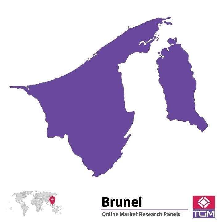Panel badawczy online w Brunei |  Badania rynku w Brunei