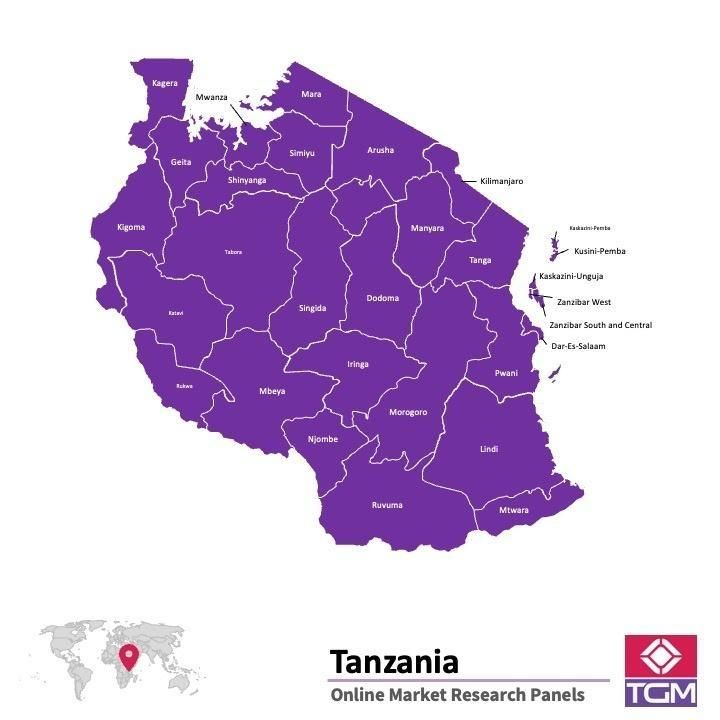 Panel badawczy online w Tanzanii |  Badania rynku w Tanzanii