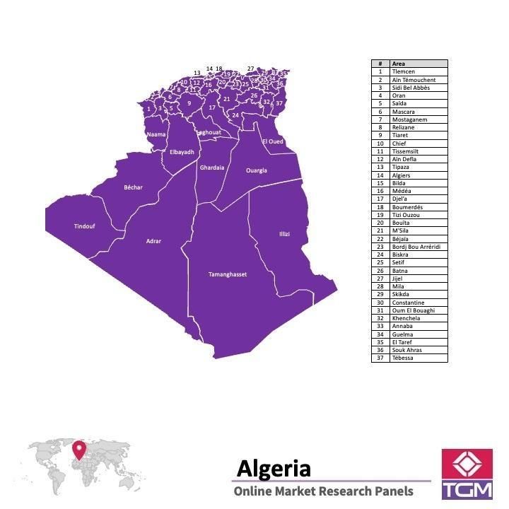 Panel badawczy online w Algierii |  Badania rynku w Algierii