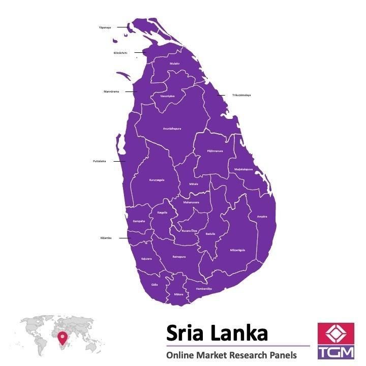 Panel badawczy online w Sri Lance |  Badania rynku w Sri Lance