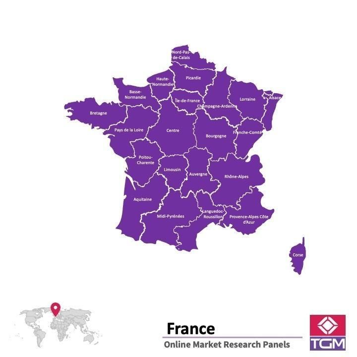 Panel badawczy online w Francji |  Badania rynku w Francji