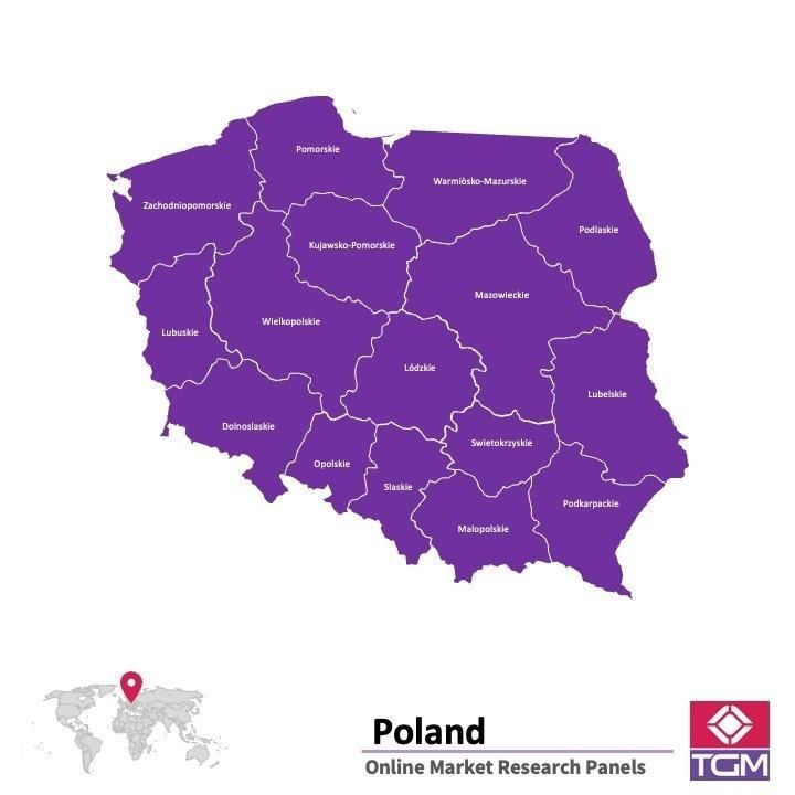 Panel badawczy online w Polsce |  Badania rynku w Polsce
