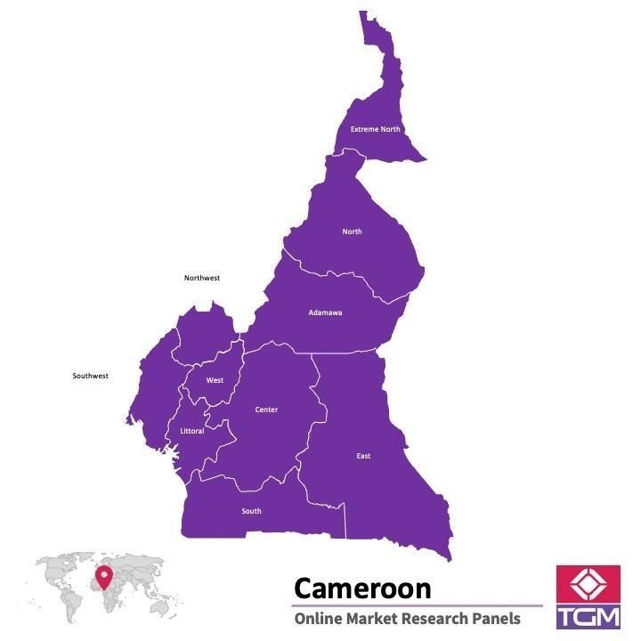 Panel badawczy online w Kamerunie |  Badania rynku w Kamerunie