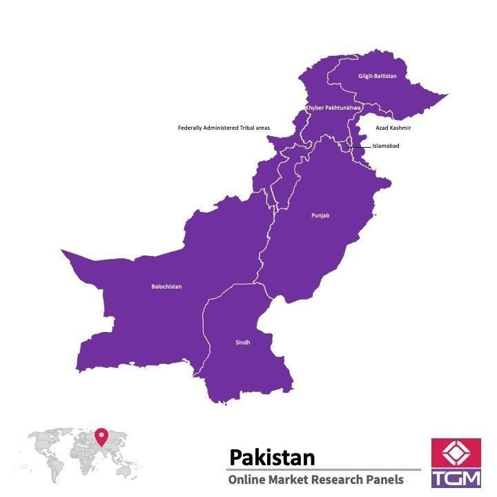 Panel badawczy online w Pakistanie |  Badania rynku w Pakistanie